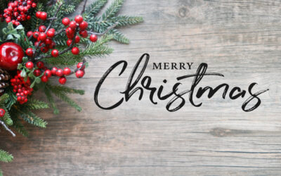 Merry Christmas and Happy New Year from PPS (UK) Ltd