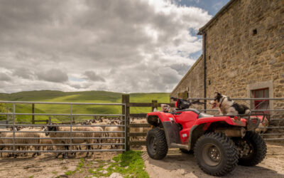 How can monitored detection systems be helpful in tackling farm crime?